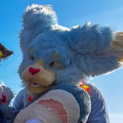 Photo de profil de Naolu