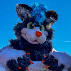 Photo de profil de Prism